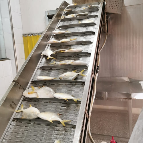 yellow pompano factory in China