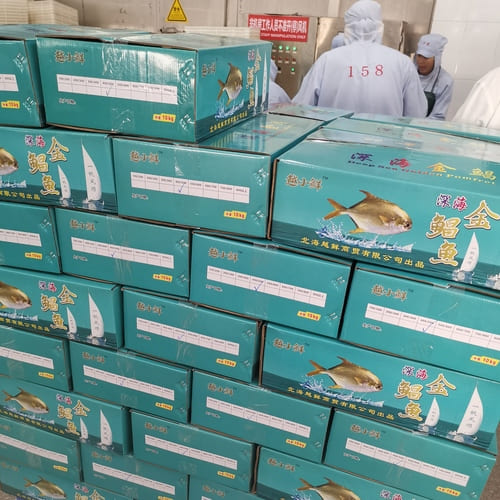 Wholesale yellow pompano fish from China